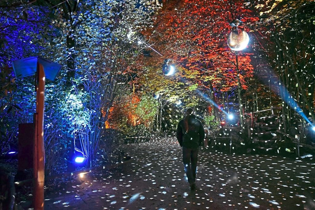 „Christmas Garden“ erstrahlt im Lichterglanz