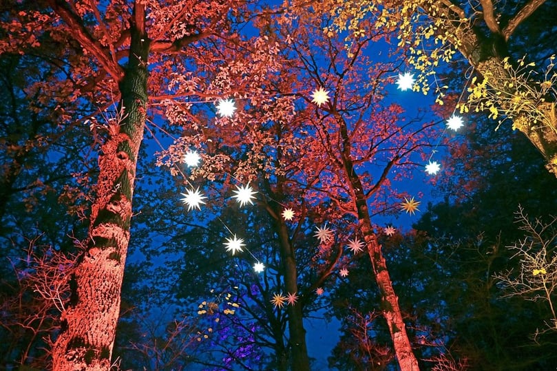 christmas garden münster 2022