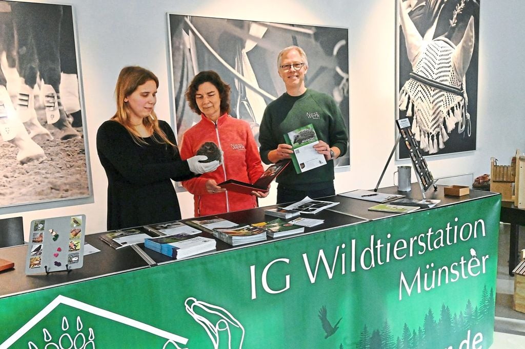 Münster bekommt eine Wildtierauffangstation