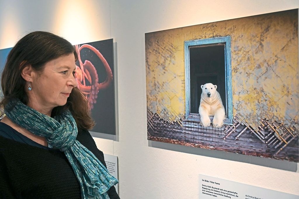 Die 100 besten Tierfotos im Zoo