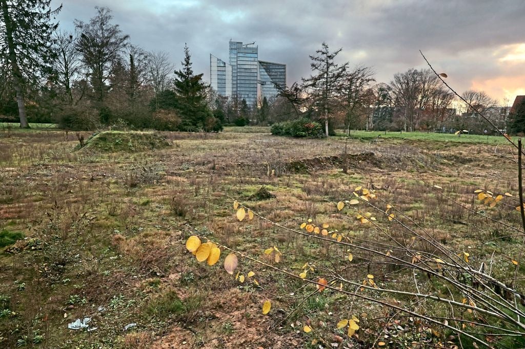 Rat entscheidet über neues Baugebiet – Sorgen bei Anwohnern