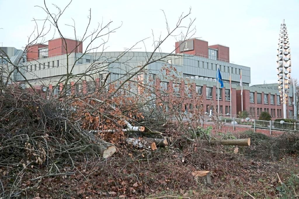 Urteil nach illegalem Kahlschlag an der Weseler Straße