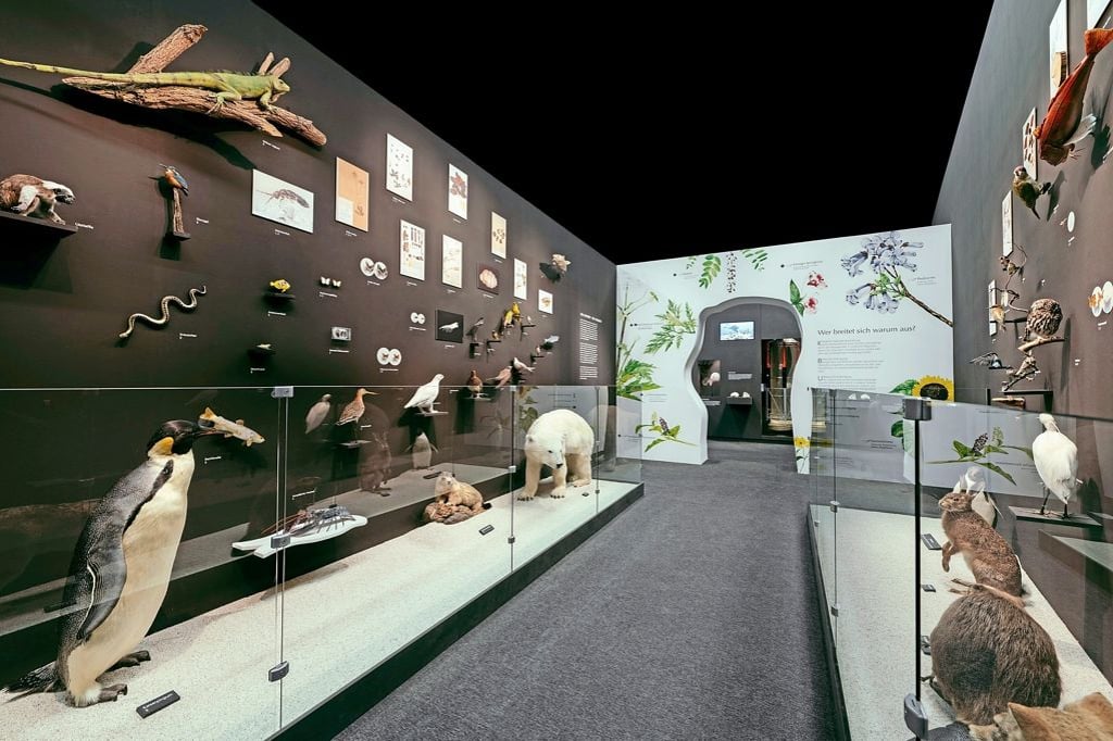 Dem Klimawandel und den Dinosauriern auf der Spur