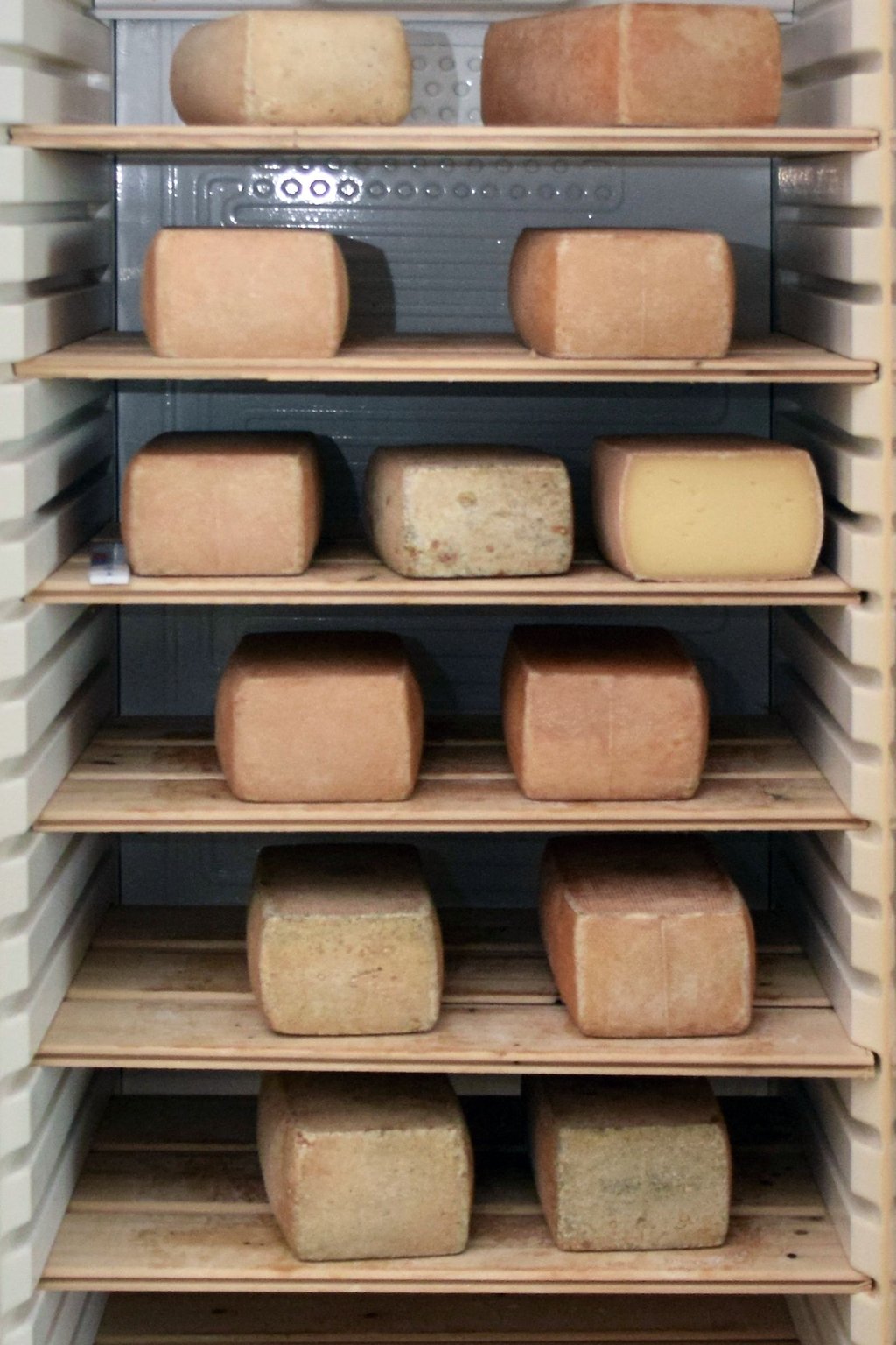 Erst reifte die Idee und jetzt der Käse