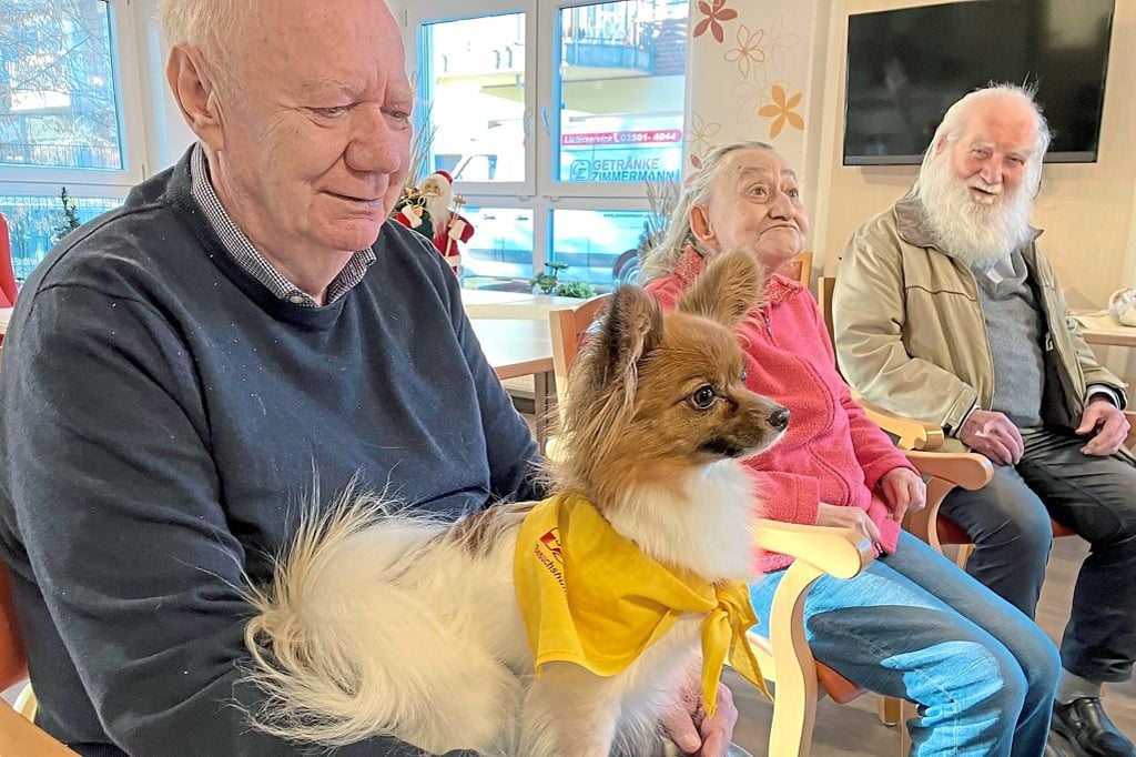 Harley stiftet Festtage: Besuchshund im Seniorenzentrum Meckmannshof