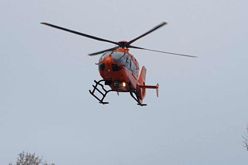 Erstes Sturmopfer in Bad Driburg: 65-jährige Frau durch umstürzende Fichte schwer verletzt