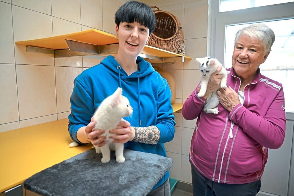 Tierschutz-Chefin kritisiert Welpenhandel im Internet