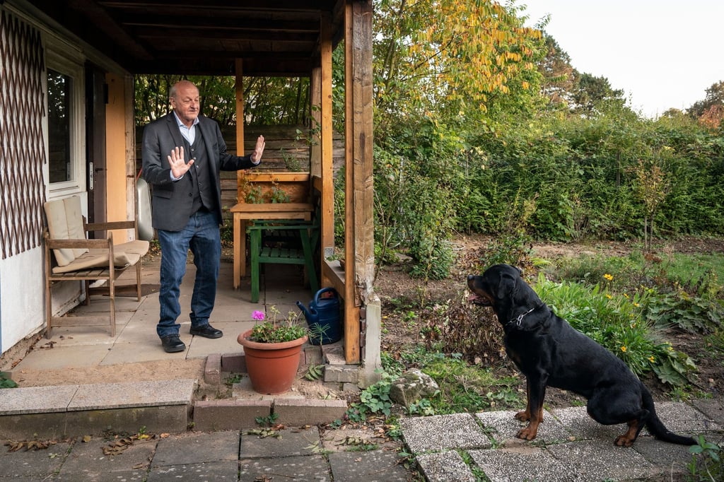Wilsberg startet mit Verkehrsunfall ins neue TV-Jahr