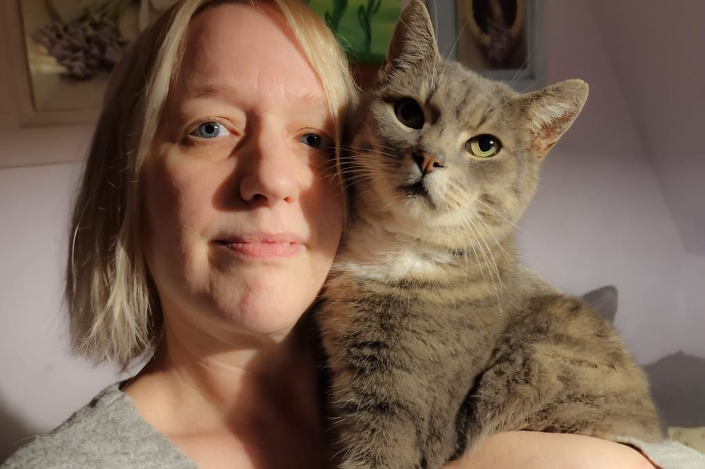 Hilfe für Streunerkatzen: „Alles ist besser als wegzusehen“