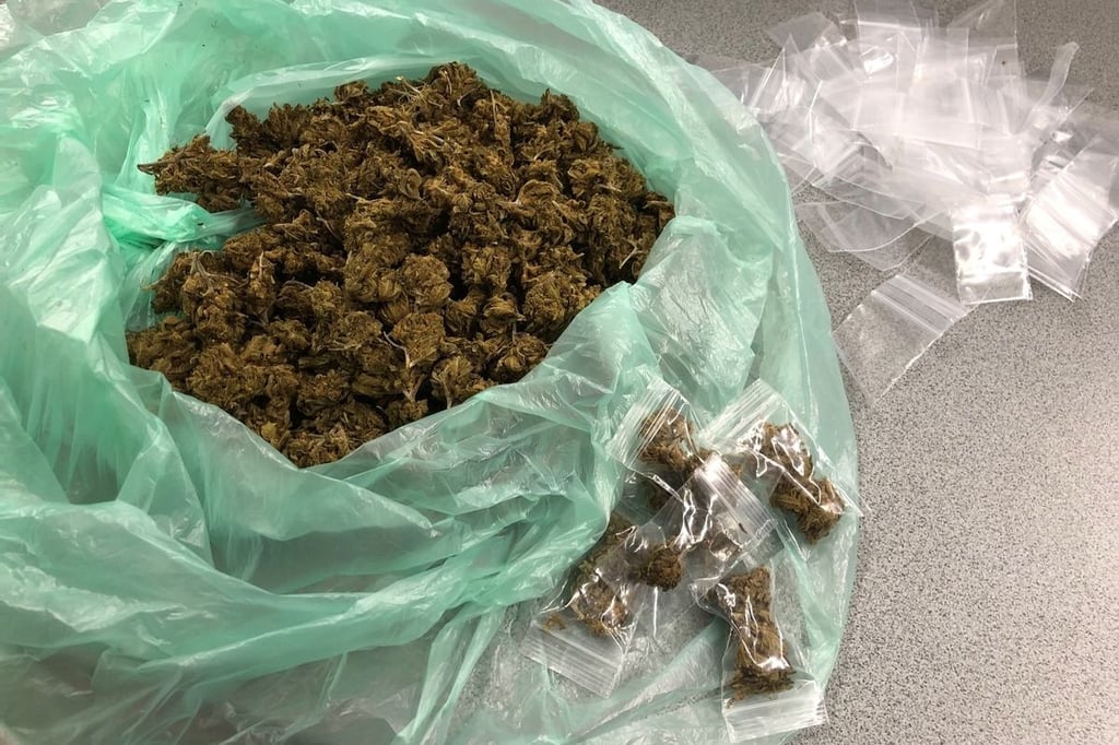 Drogendelikte: Acht Anzeigen und eine Festnahme