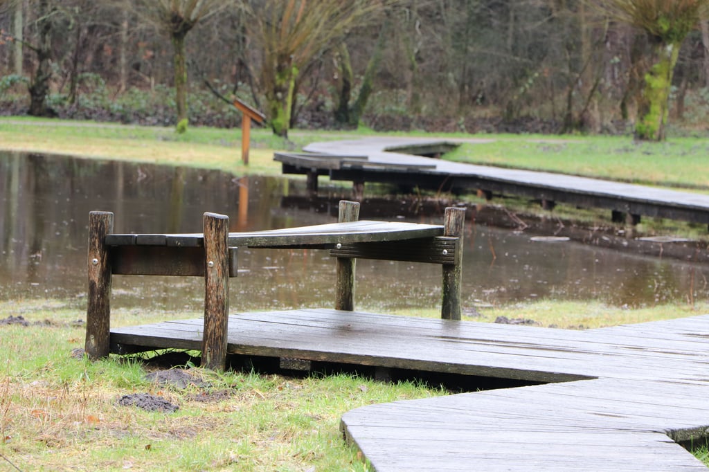 Vier Angeklagte zeigen sich reumütig und bedauern ihr Tun