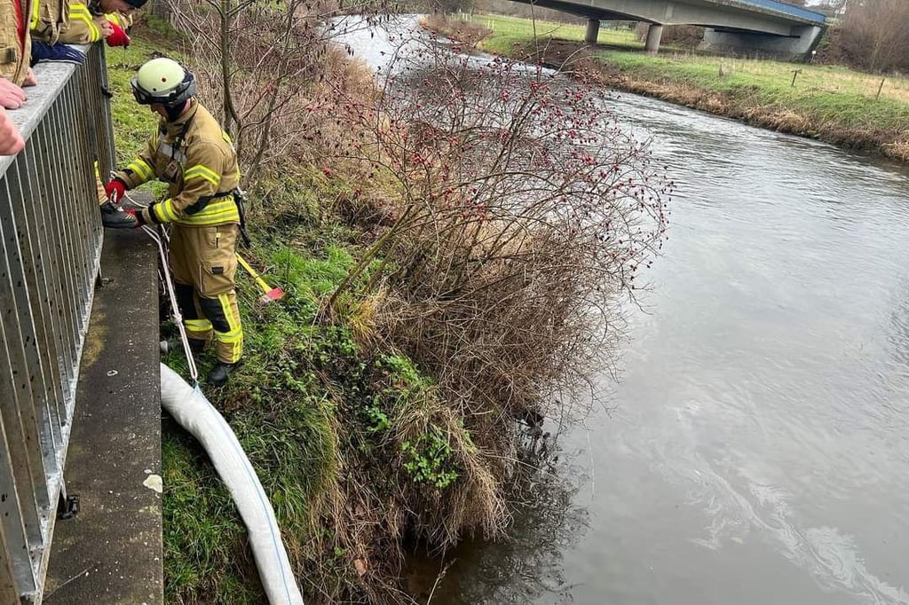 Wieder Ölfilm auf dem Siekbach in Warburg