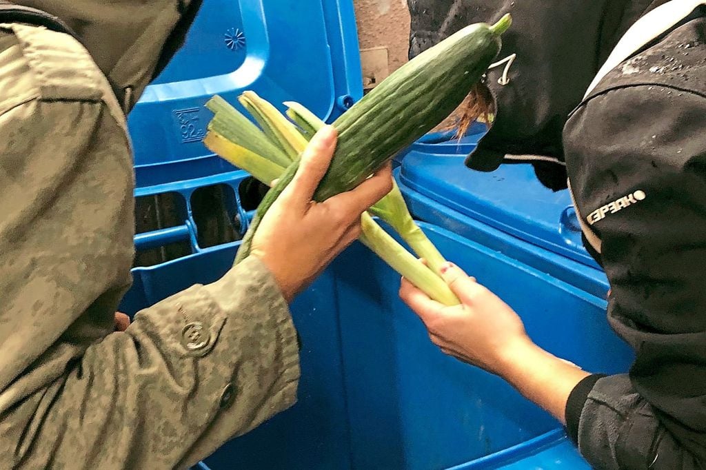 Containern: Legal? Illegal? Längst egal!