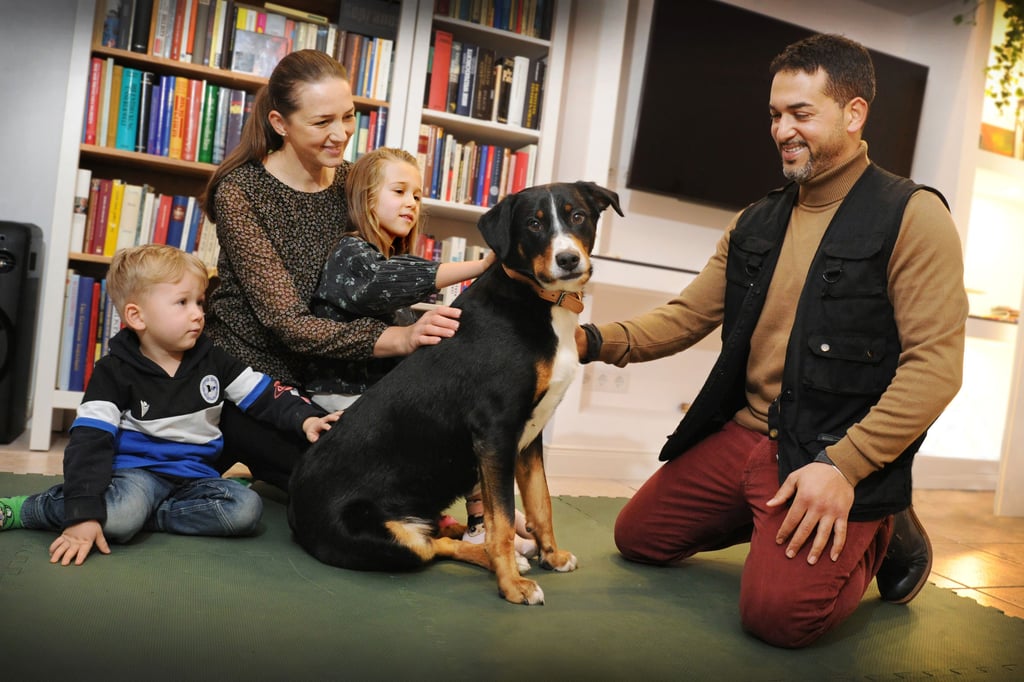 Odyssee mit Happy End