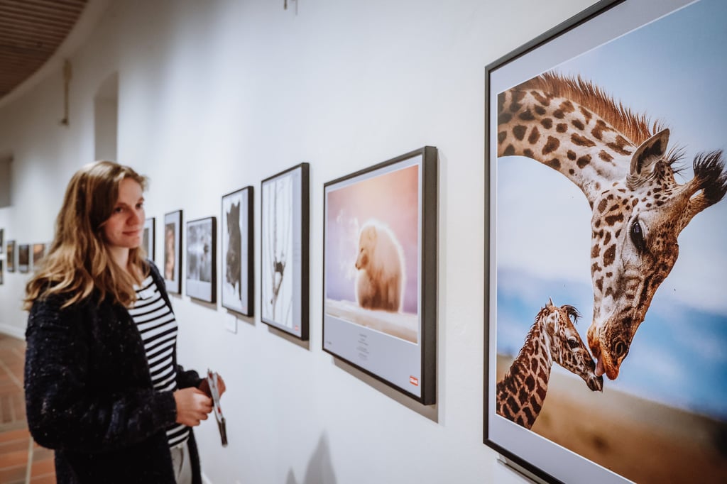 „Glanzlichter“: Faszinierende Natur im Paderborn Naturkundemuseum