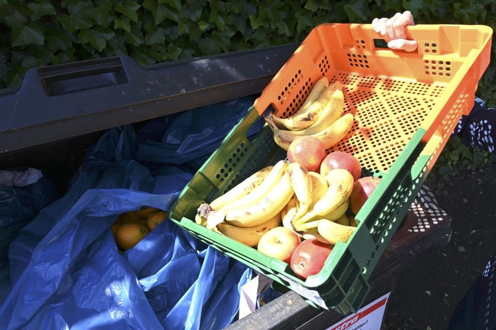 Containern: Geplante Legalisierung ist Effekthascherei für die Tonne