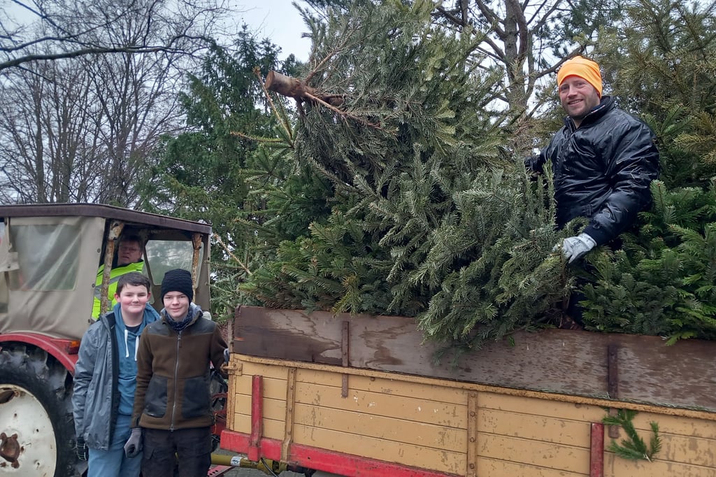 Viele Freiwillige bei Tannenbaumaktion in Löhne