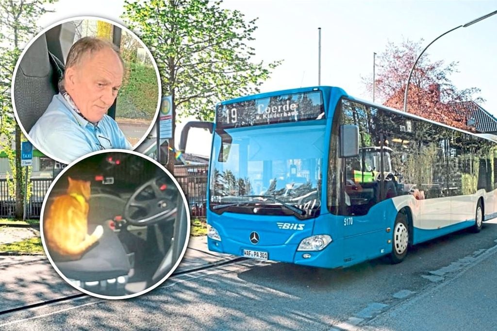 „Schwarzfahrerin“ auf vier Pfoten