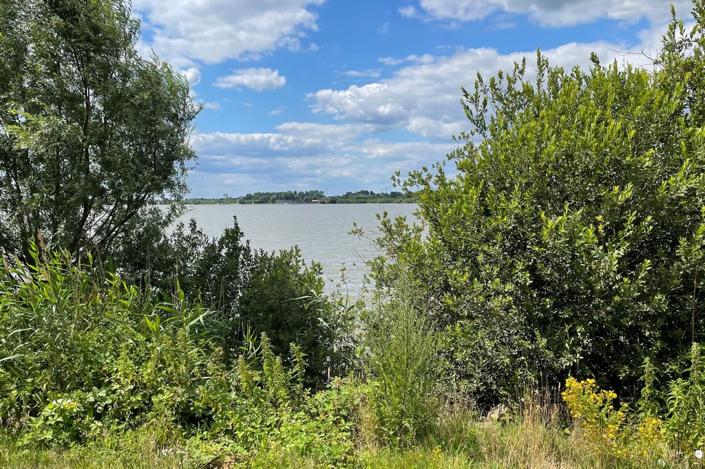 Umweltaktion an der Hammer Straße