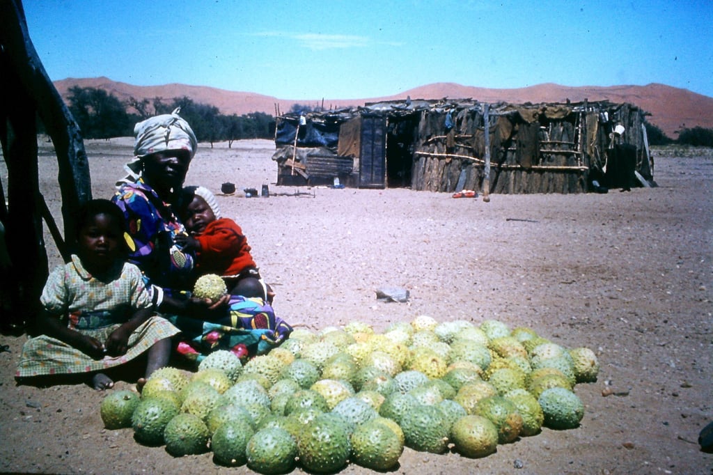 Walter Moritz zeigt Fotos aus Südwestafrika