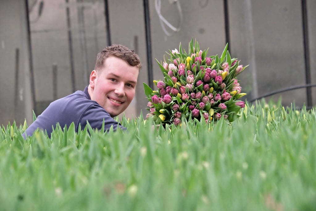 Wir verlosen zehn bunte Tulpensträuße