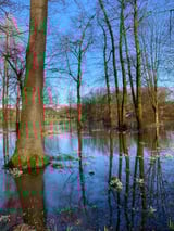 Die Ems tritt über die Ufer: Ein Naturereignis, das immer wieder zum Ausflugsziel wird und zahlreiche Fotografen anlockt.