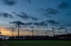 Im Münsterland wird deutlich mehr Öko-Strom wie aus diesem Windpark in Saerbeck verwendet als im Bundesdurchschnitt.