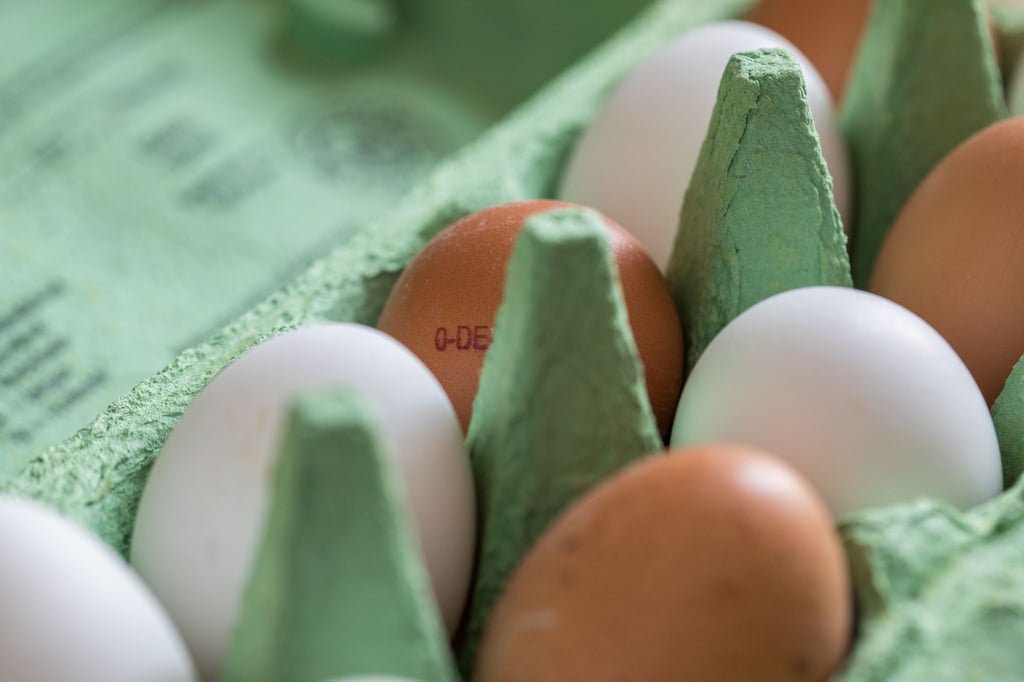 Tipps zum Umgang mit rohen und gekochten Eiern