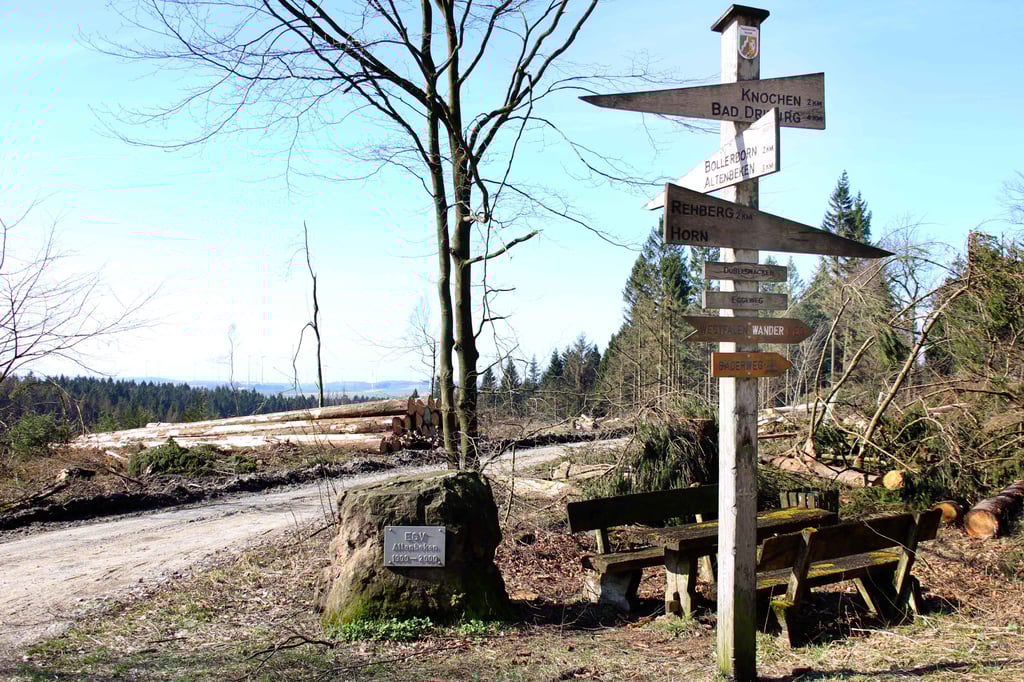 Die Egge das mögliche Nationalparkgebiet im Wandel der Zeit