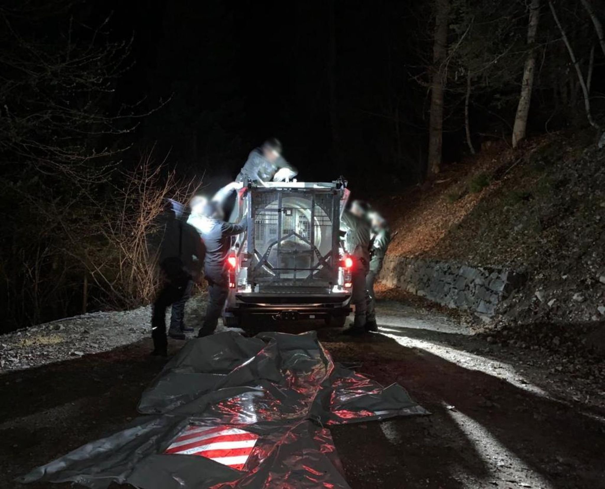 Tödliche Attacke auf Jogger: Bärin aus Italien eingefangen