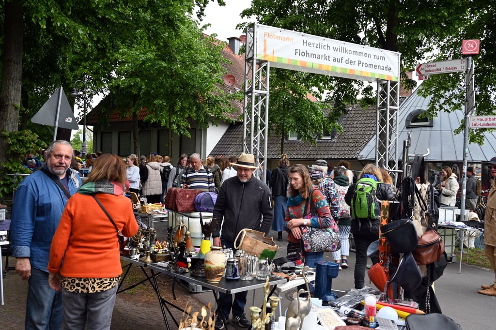 Münster Run auf die letzten NachtflohmarktPlätze