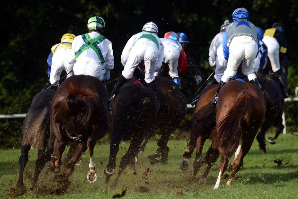 Franz-sischer-Hengst-Angers-gewinnt-Mehl-M-lhens-Rennen