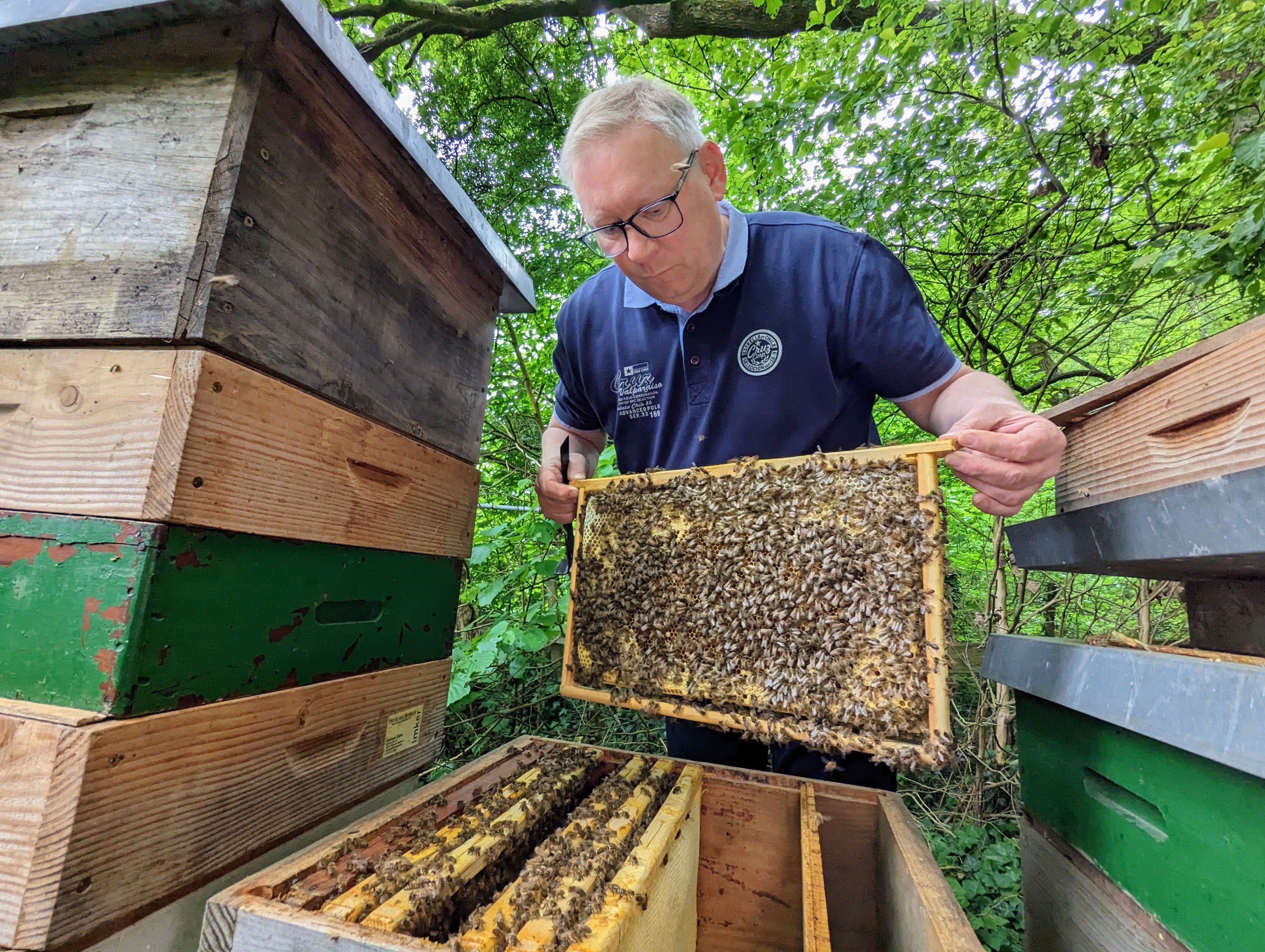 Honig aus Wolbeck: Der digitale Bienenstock