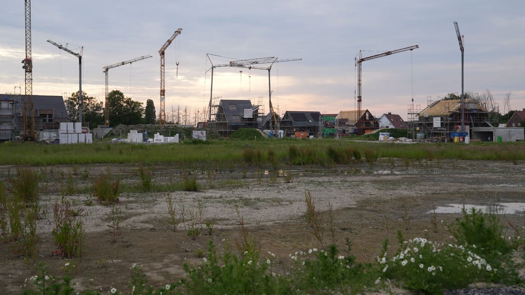 Neubaugebiete So ist die Bewerberlage im Münsterland