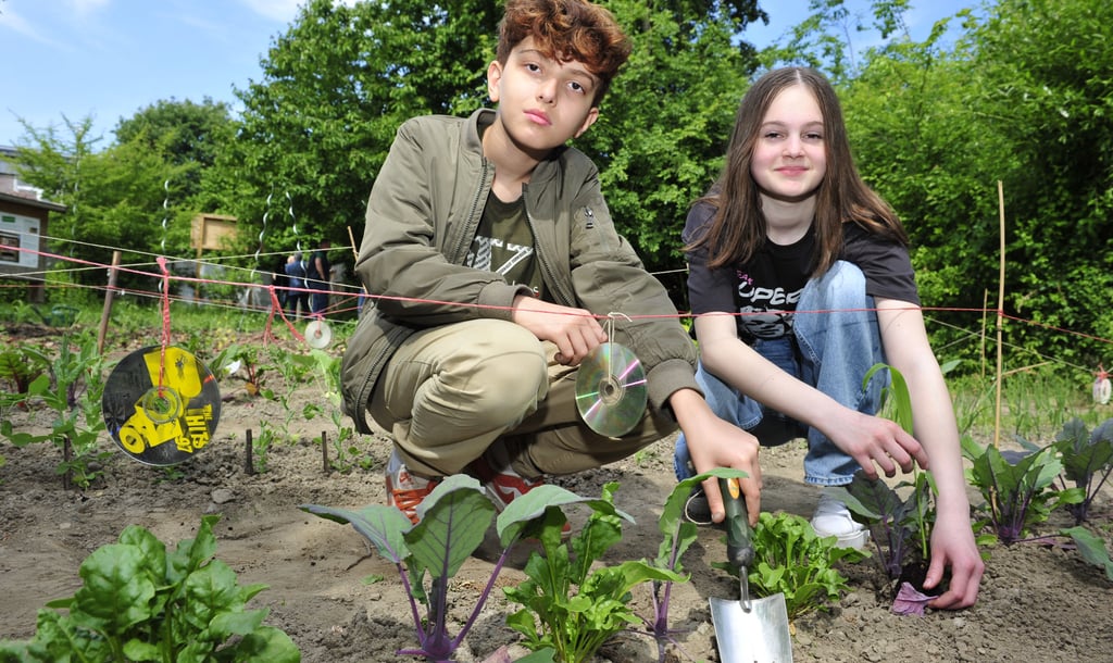 Löhne BertoltBrechtGesamtschüler legen Garten mit Acker e.V. an