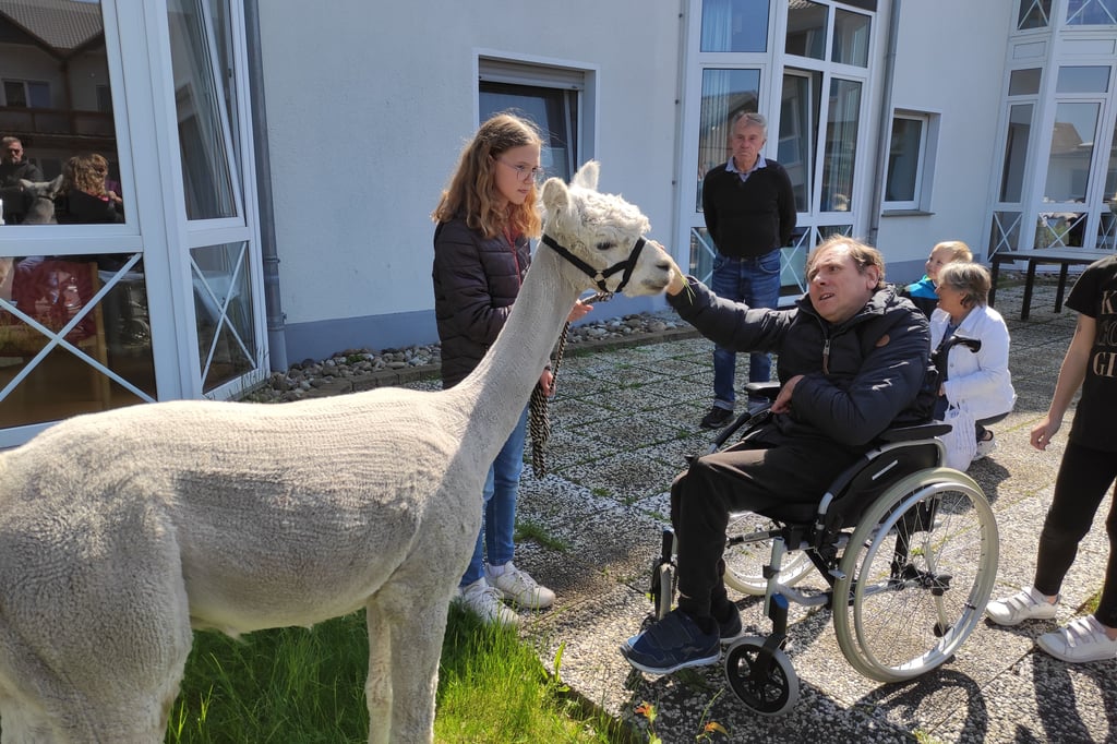 Stemwede Flauschige G ste bringen Freude ins Seniorenheim