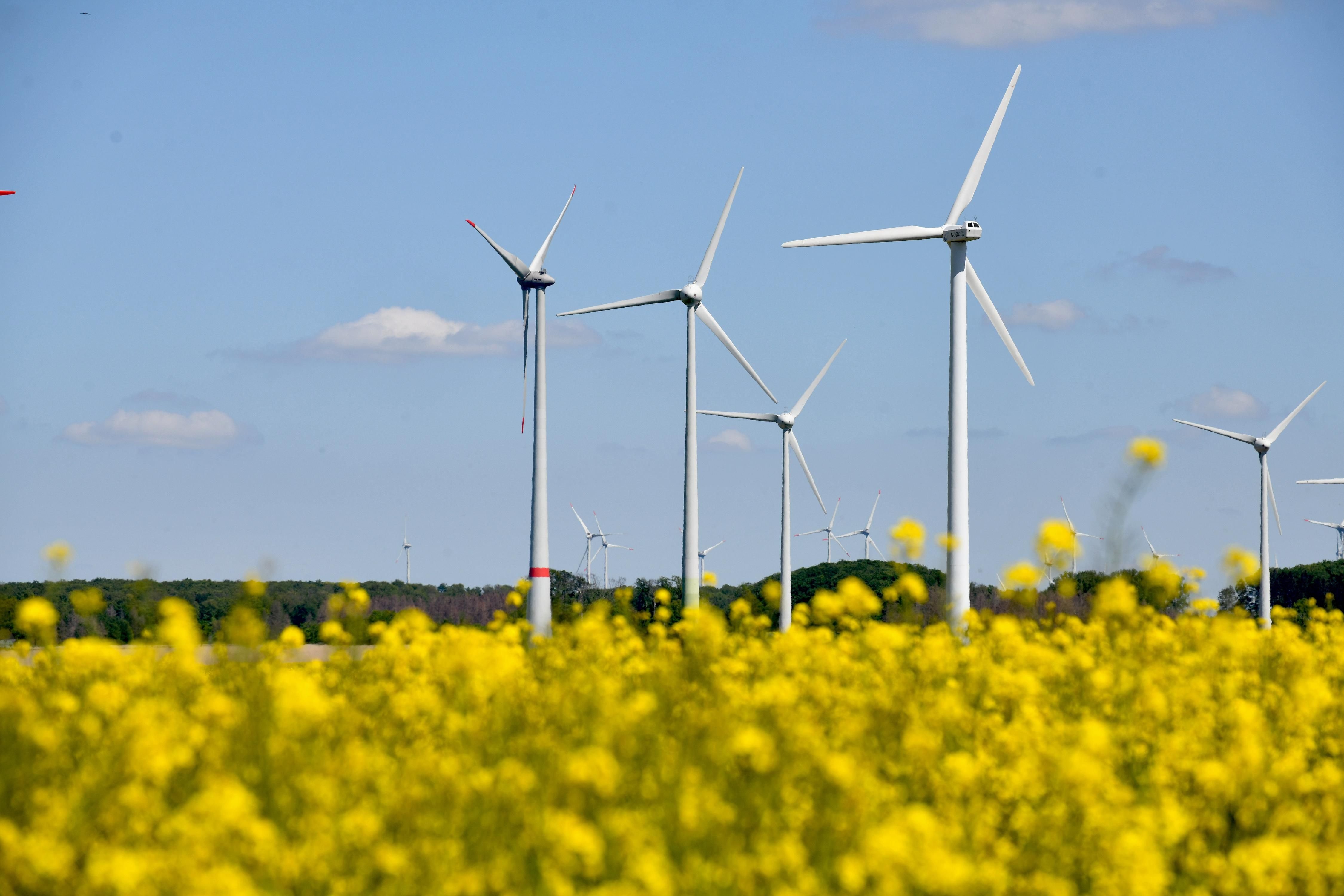 Altenbeken Wartet Auf Schallschutzgutachten Für Windenergieplanung