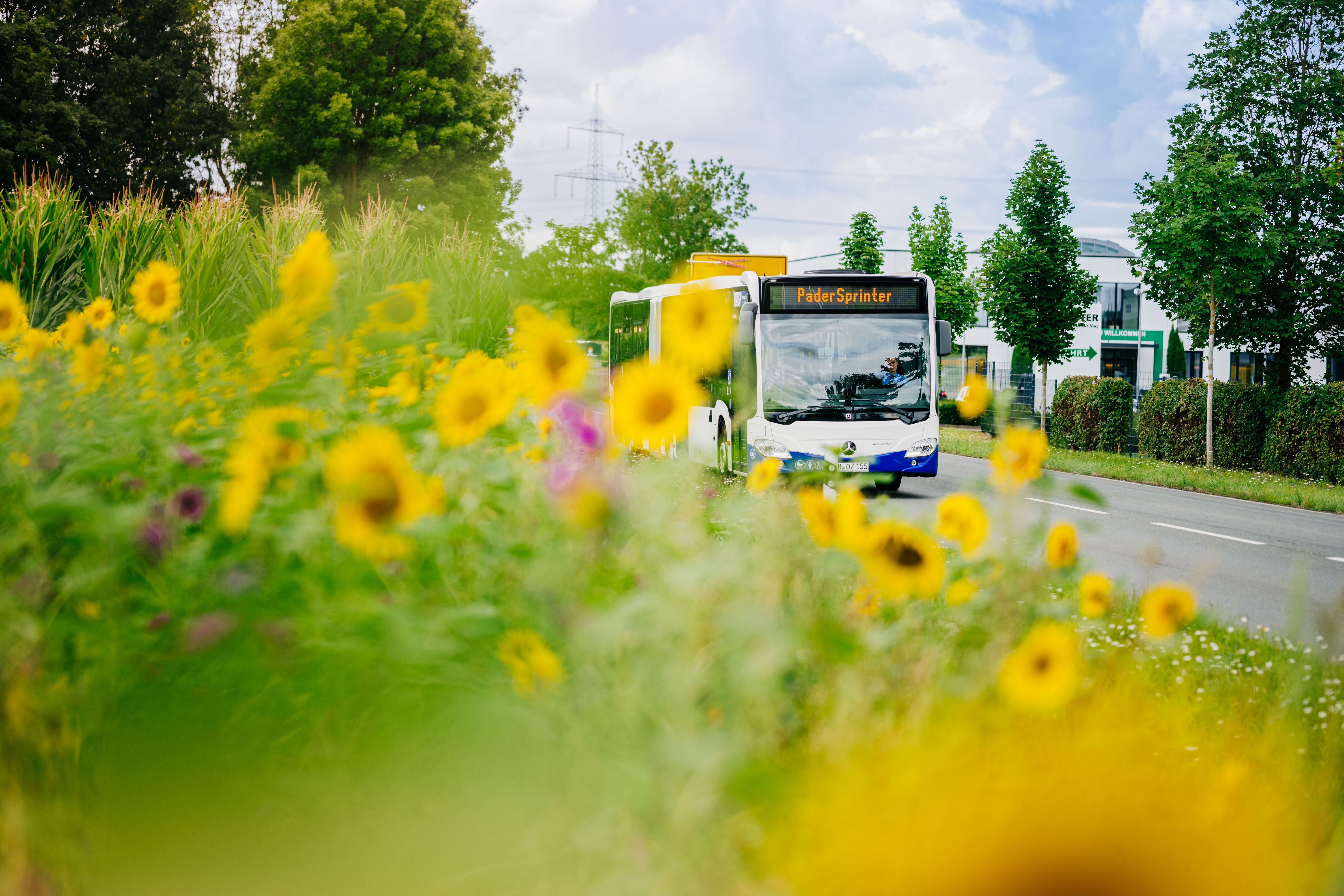 Padersprinter Fährt Wieder Nach Normalfahrplan