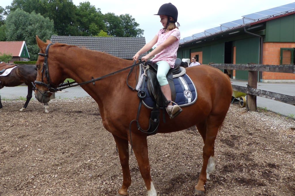 Auf Dem Rücken Der Pferde Sprüche Das Glück der Erde liegt auf dem Rücken der Pferde