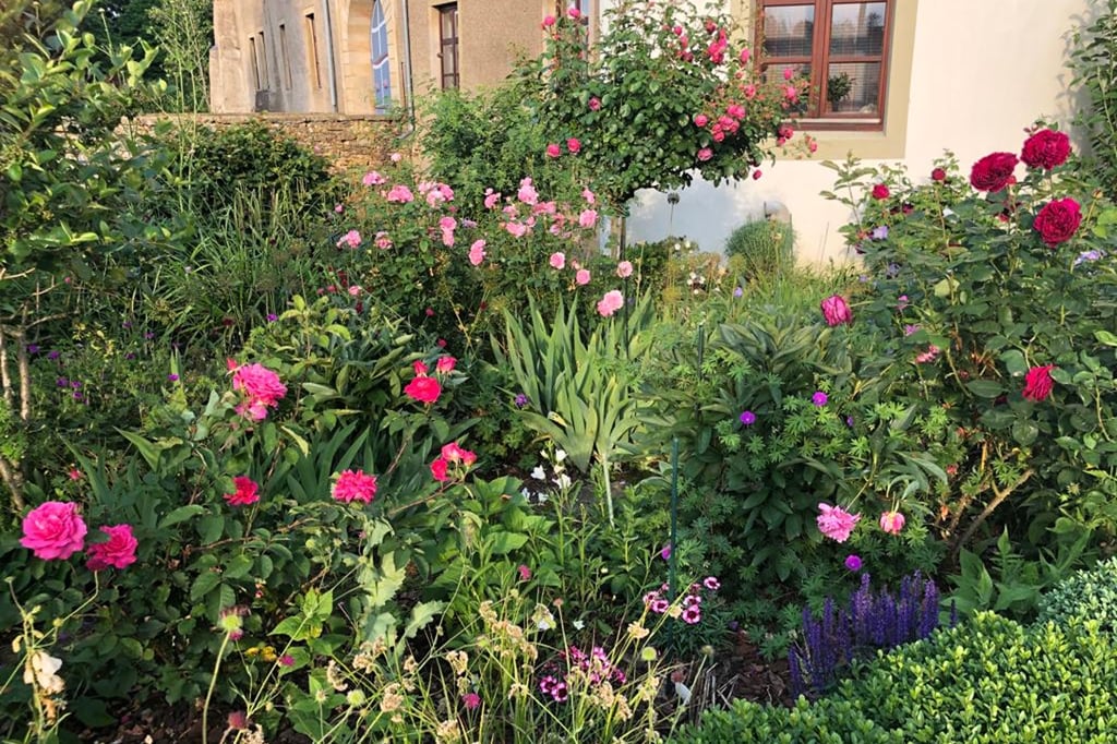 Rödinghausen parkähnlicher Garten mit naturbelassenen Ecken