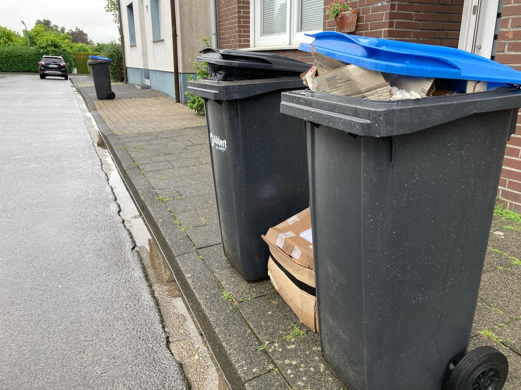 Ärger um Müllabfuhr: Bamberger sollen 2024 Mülltonnen selbst an Straße  schieben