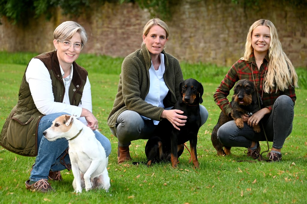 Höxter: Kartoffel hat großen Auftritt bei der Landesgartenschau