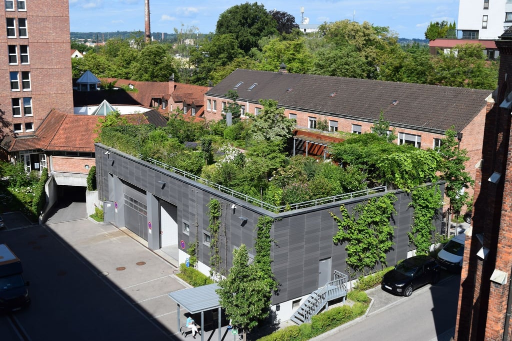 Grüne Dächer Die Vorteile für Gebäude, Bewohner und Umwelt