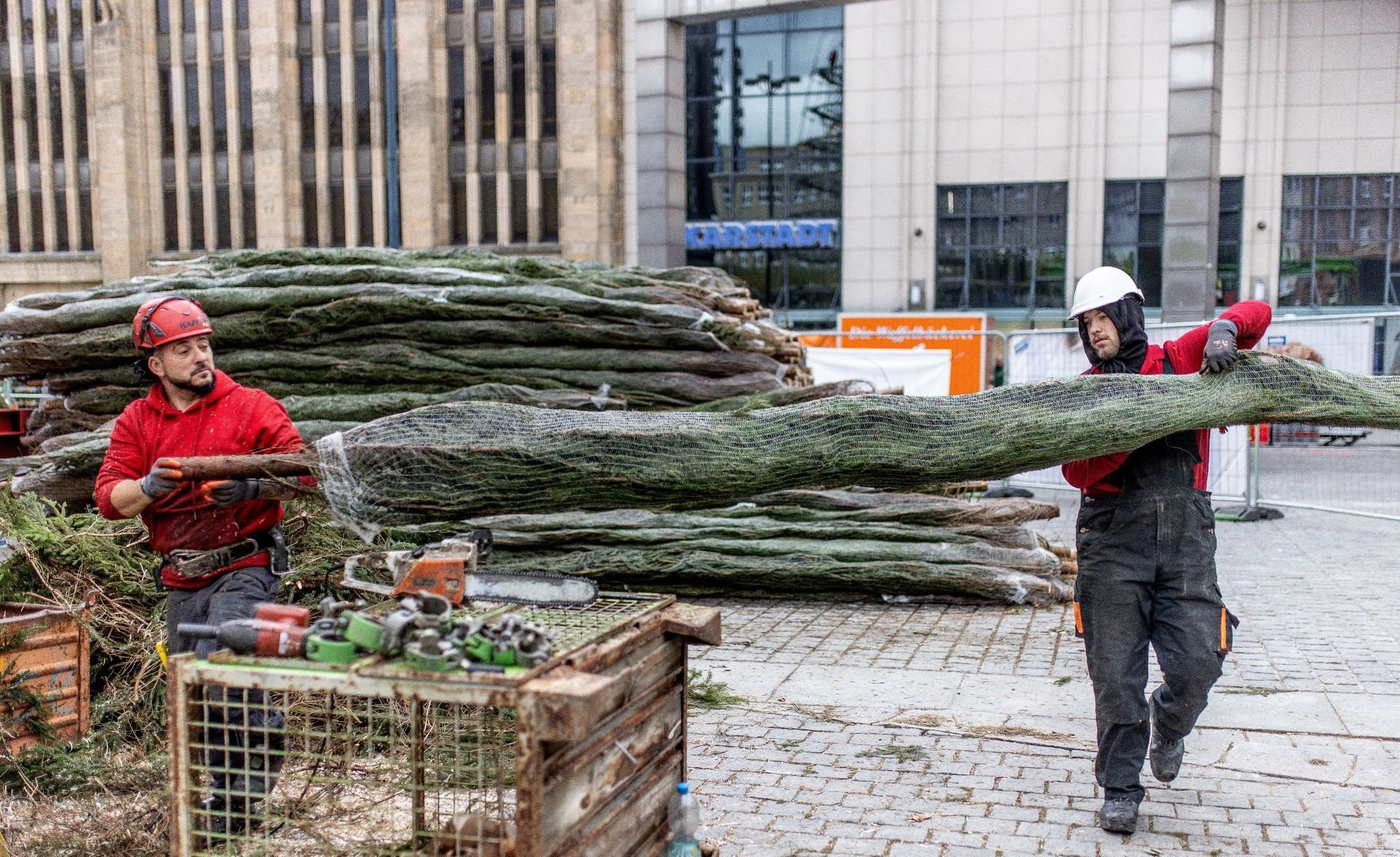 Riesen-Weihnachtsbaum Entsteht Aus Mehr Als 1000 Fichten