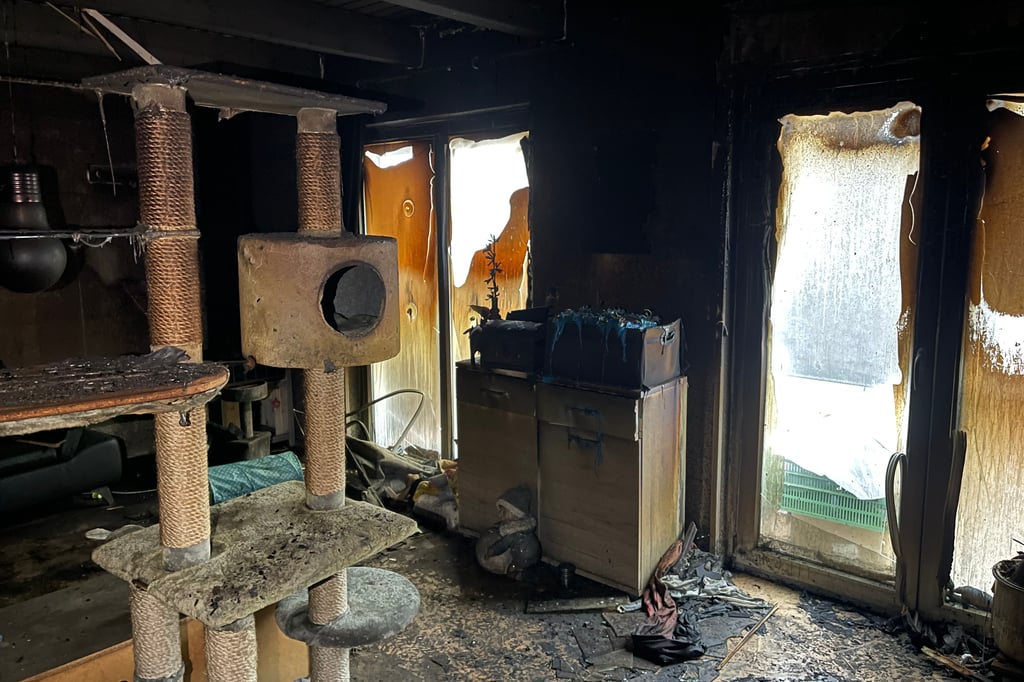 Welle der Hilfsbereitschaft erreicht Familie Blume aus Bielefeld