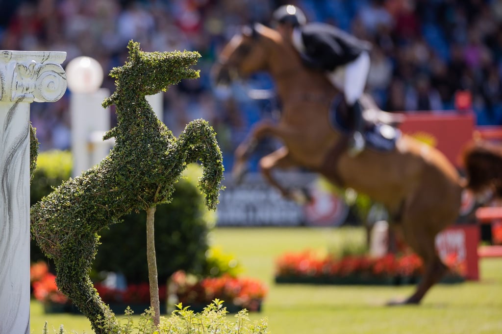 Reit-WM 2026 Aachen: Größte Sportveranstaltung Deutschlands Motiv 