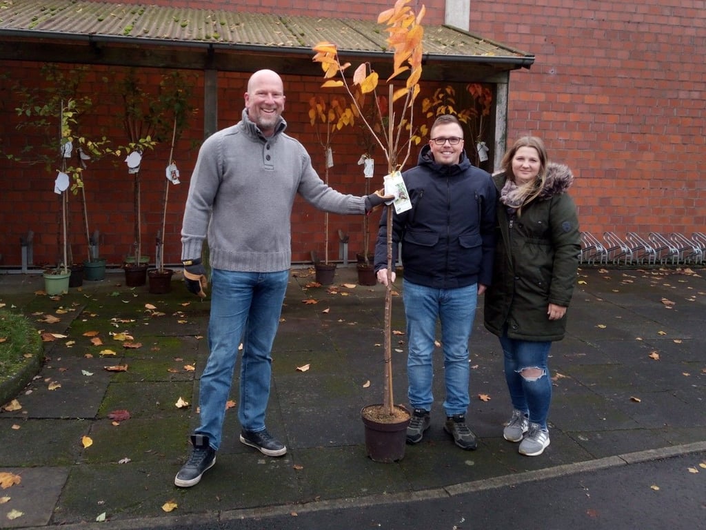 Preußisch Oldendorf Stadt schenkt Eltern von Neugeborenen einen Baum