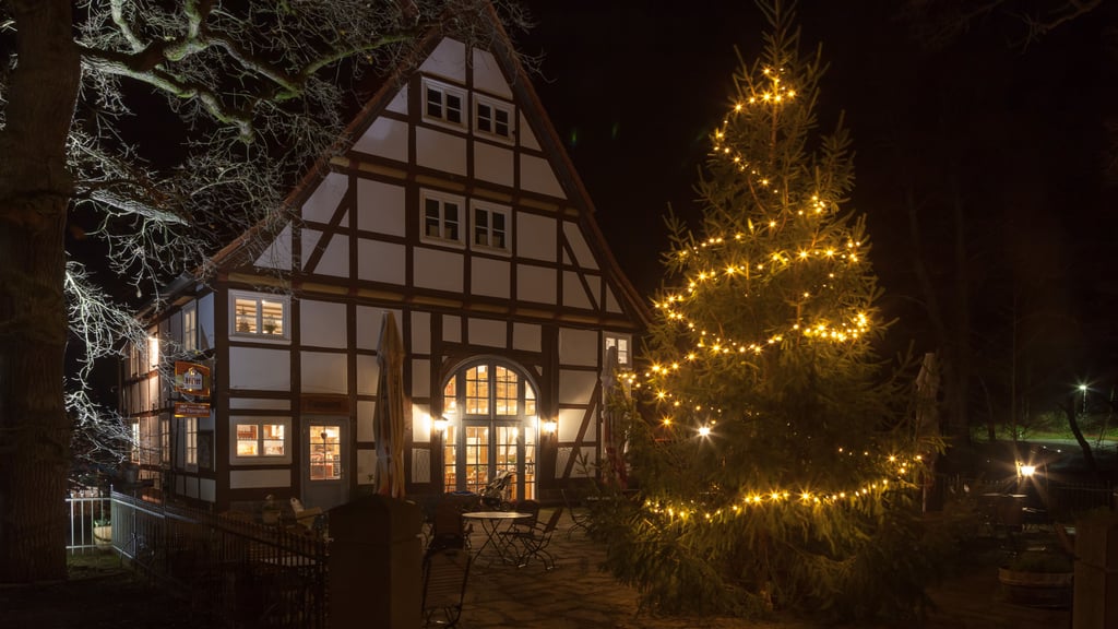 Hofgeismar Mittelalterlicher Weihnachtsmarkt im Tierpark Sababurg