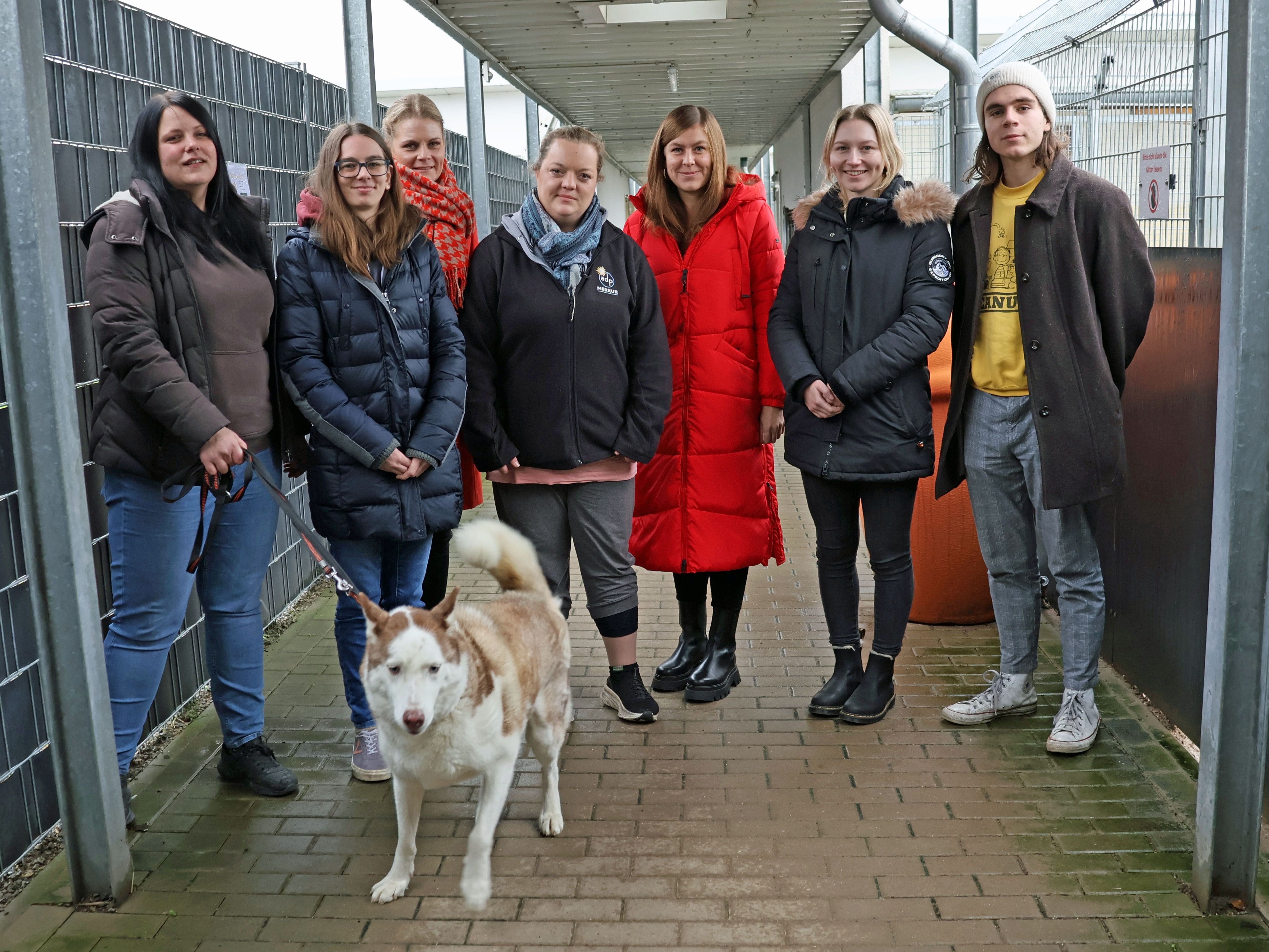 Lübbecke: Gauselmann-Azubis Packen Im Tierheim Mit An