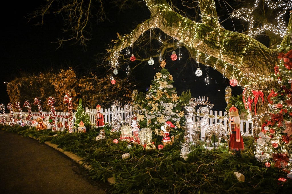 Mit Gutem Öko Gewissen Weihnachten Feiern 9802